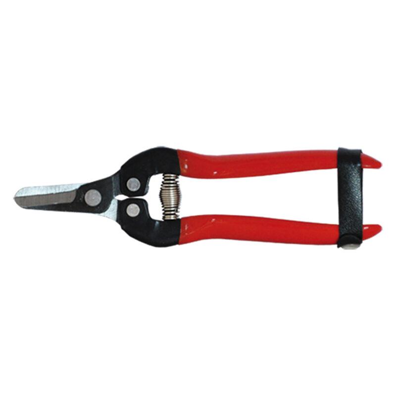 FORBICI COGLIUVA cm 16