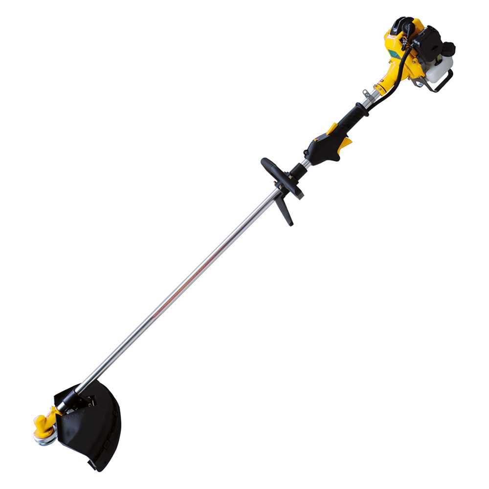 DECESPUGLIATORE 'PG260W' Hp 1,0 - c/accessori