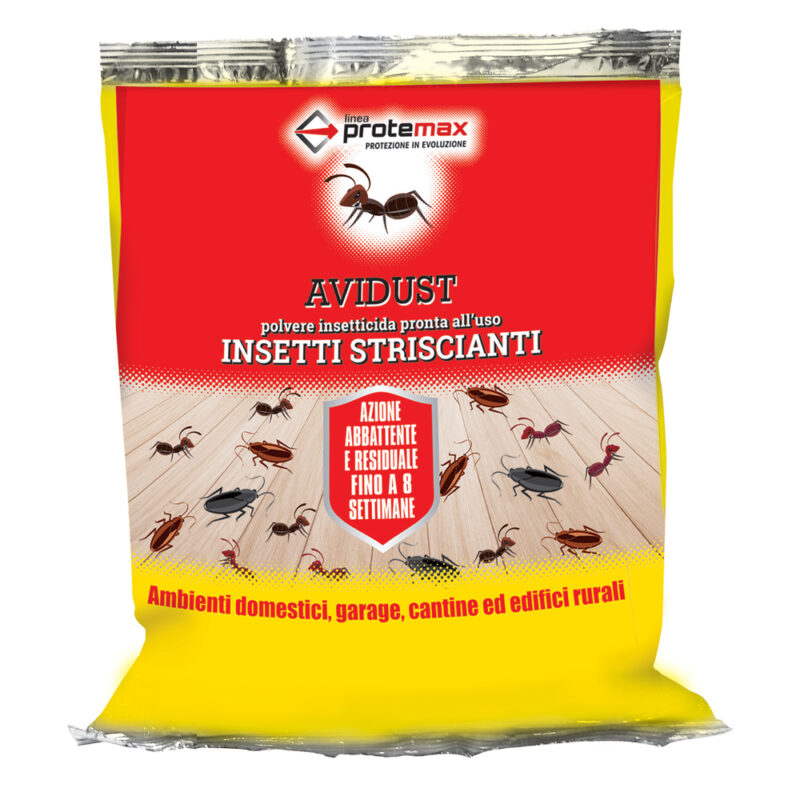 INSETTICIDA IN POLVERE kg 1 - busta