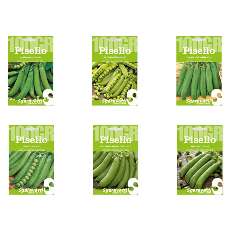 SEMI PER FAVE pisello alderman (rampicante) - gr 250