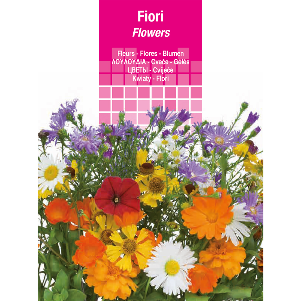 SEMI PER PRATO UNIVERSALE verbena grandiflora